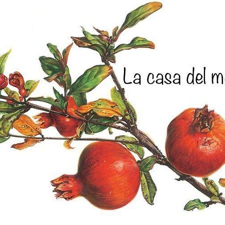 La Casa Del Melograno Lejlighed Alba  Eksteriør billede